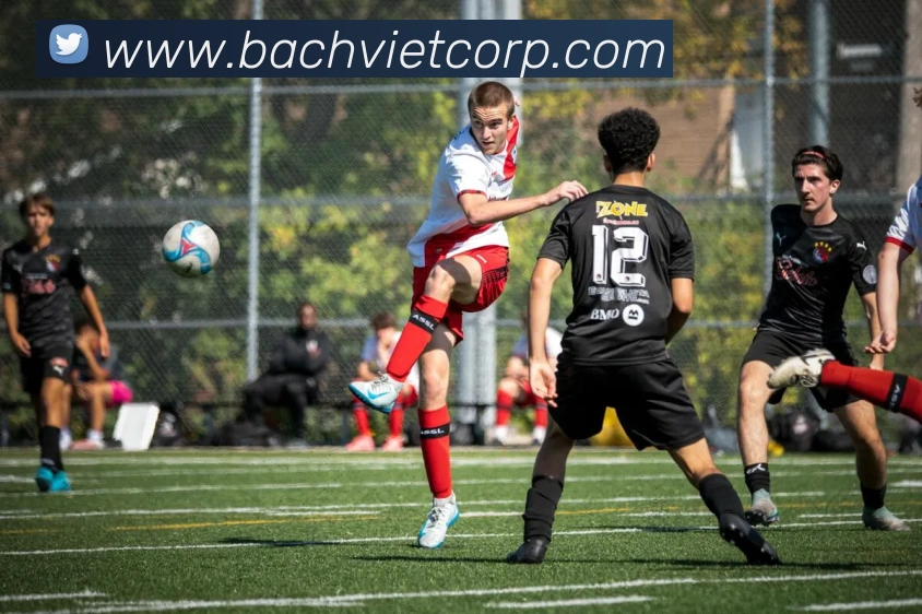 体育App 体育App